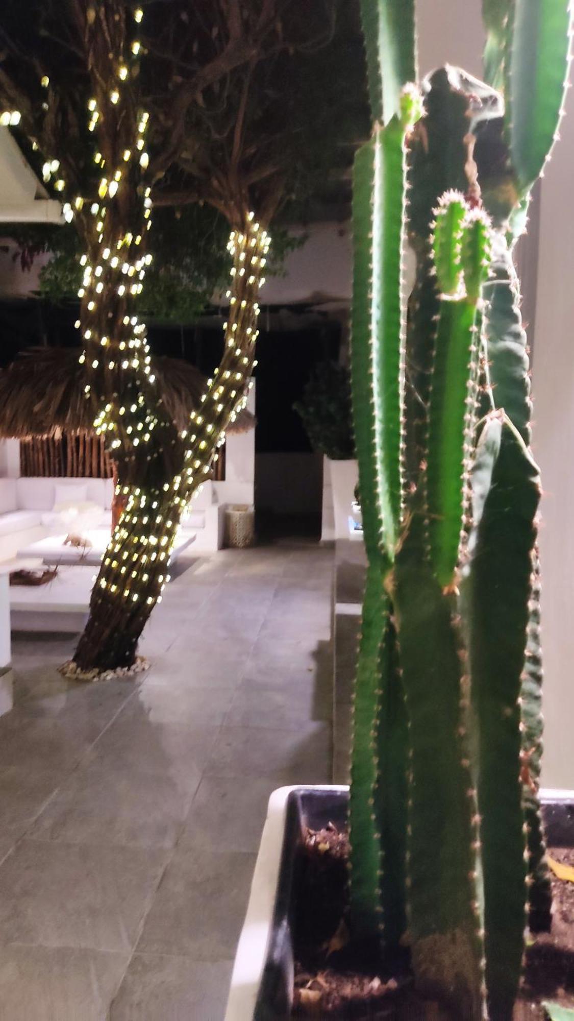 Rincon Del Mar Veleros Hotel San Onofre Kültér fotó