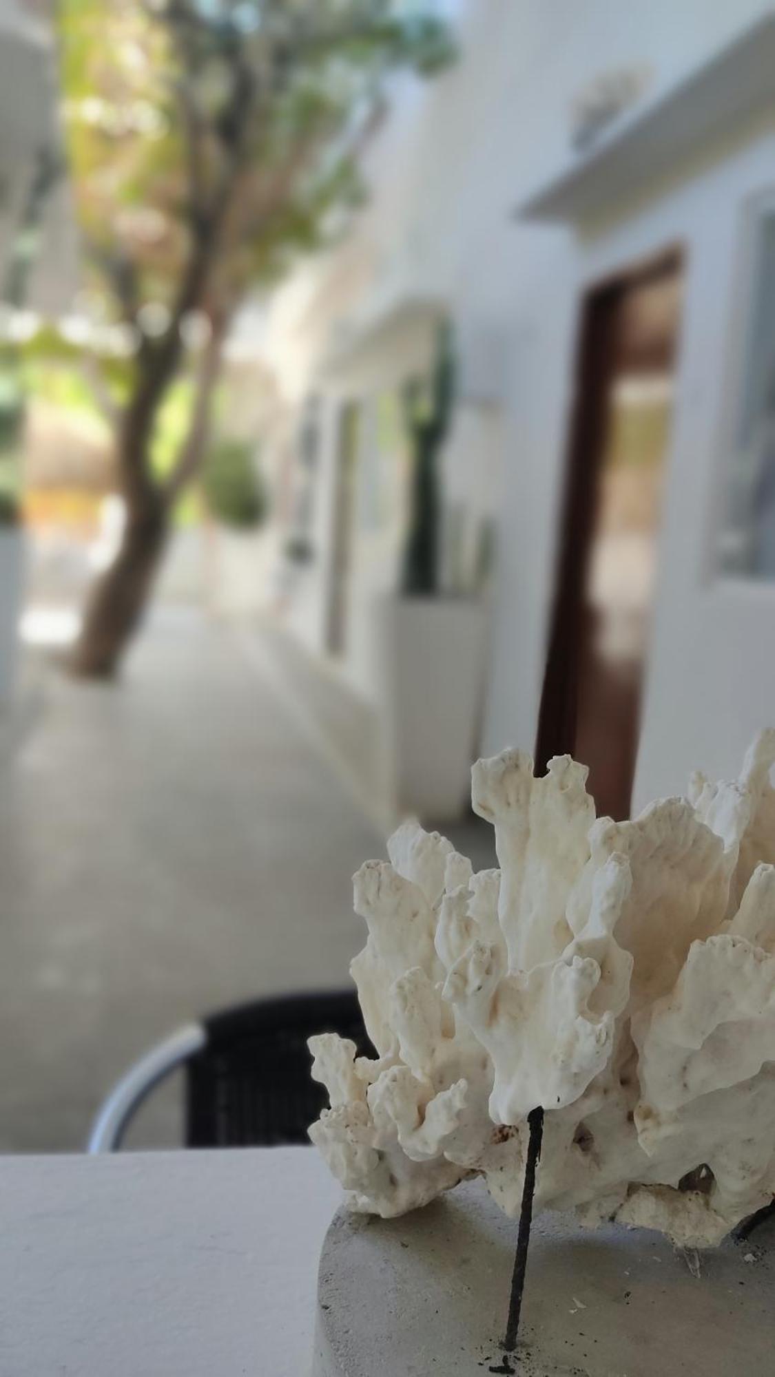 Rincon Del Mar Veleros Hotel San Onofre Kültér fotó